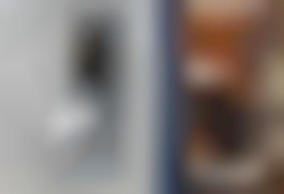 Tablet-Connected Public Cameras