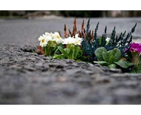 40 Guerrilla Gardening Innovations