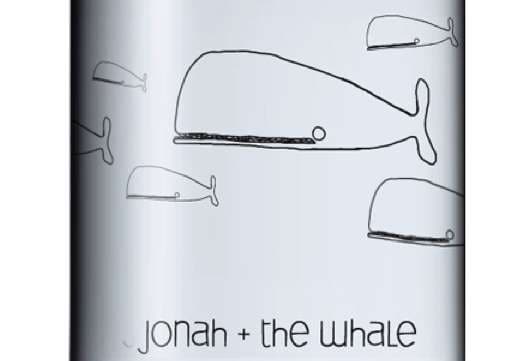 Illustrated Fish Branding