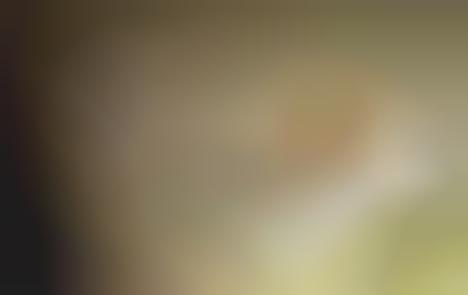 Blurred Beauty Editorials