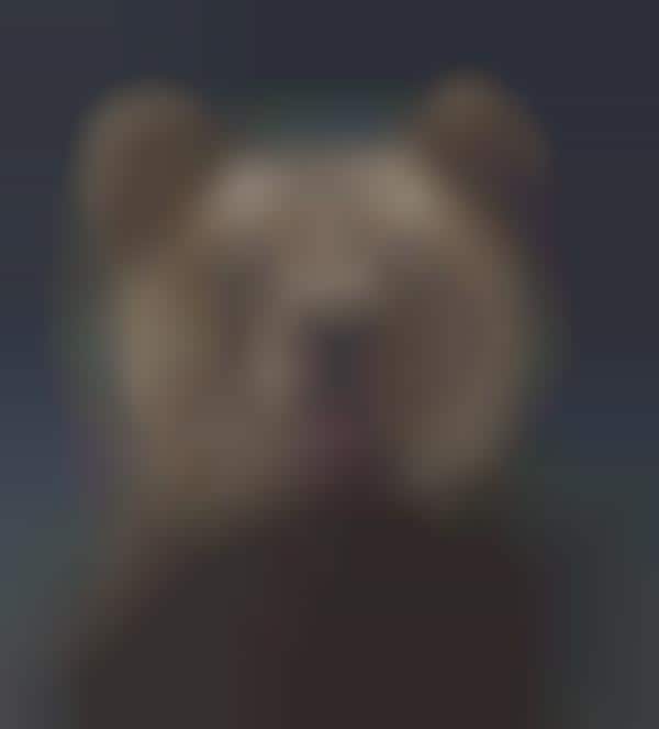Emotive Grizzly Photo Shoots