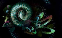 Phobia Photo Fonts Image 5