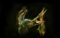 Phobia Photo Fonts Image 8