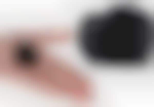 Palm-Sized DSLRs