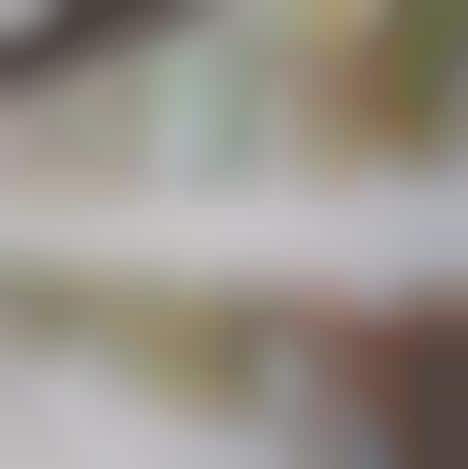 Mapped Insect Displays