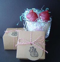 Anatomical Organ Soaps Image 2