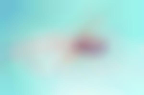 Organically Angelic Photography