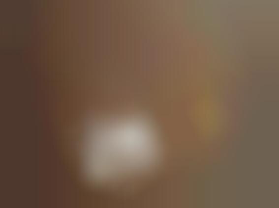 Animalistic Masked Jewelry