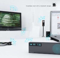 Parasitic Alarm Clocks Image 5