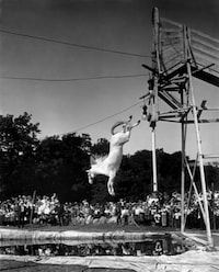 Retro Circus Snaps Image 2