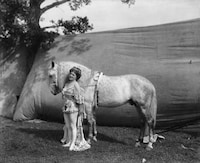 Retro Circus Snaps Image 8