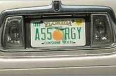 21 Ludicrous License Plate Innovations