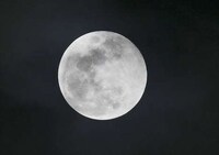 Lunar Eclipse Photography Image 3