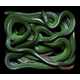 Knotted Serpent Snapshots Image 6
