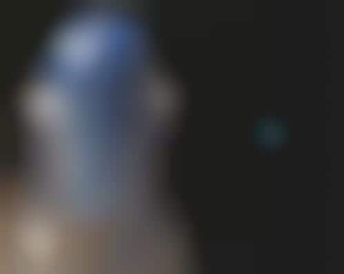 Astral Projection Toys