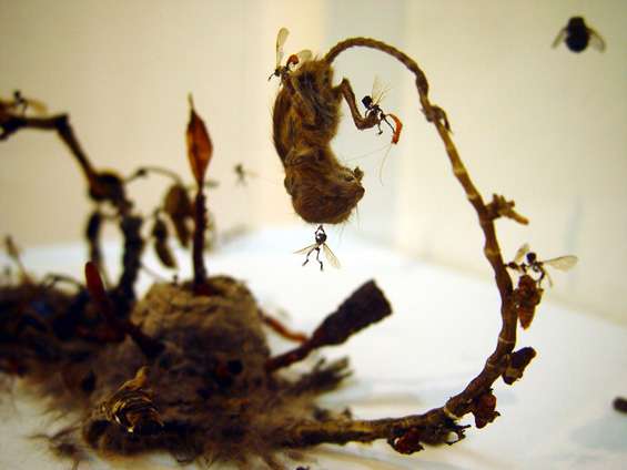 Organic Sinister Sculptures (UPDATE)