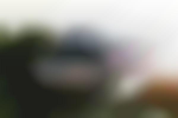 Treehouse Community Hubs