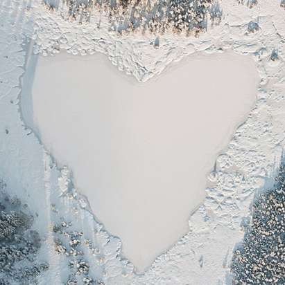 Bird's-Eye Eco Photography