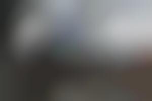 Optimized Viewing Screens: Augmented Window Enhances the Vista from the ...
