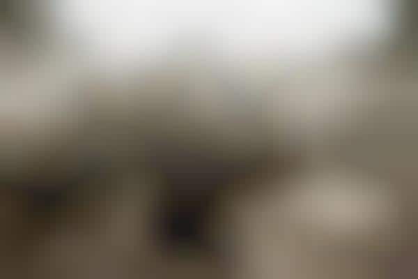 Outback Farmstead Photography