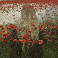 Floral Fusion Photography