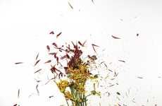 Floral Explosion Photography