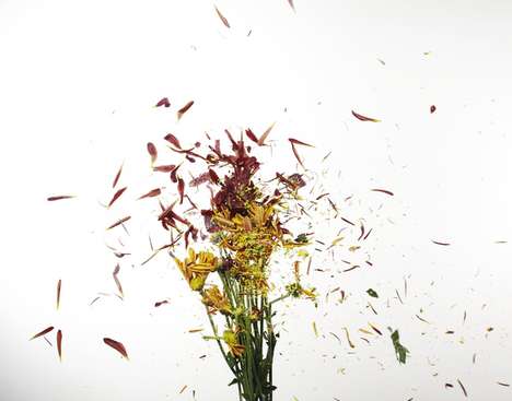 Floral Explosion Photography
