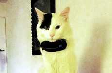 Pocket-Sized Geolocators