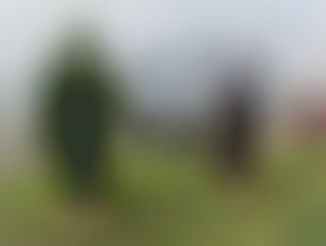 Grassy Sasquach Sculptures