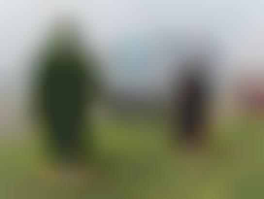 Grassy Sasquach Sculptures