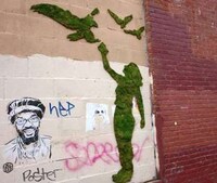 Green Moss Graffiti Image 5