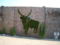 Green Moss Graffiti Image 6