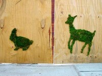 Green Moss Graffiti Image 7