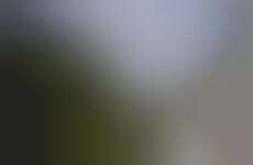 Fluid Transportation Tools