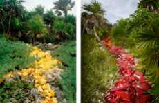 Plastic Trash Photography