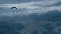 Plummeting Avian Art Image 3