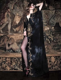 Glamorous Feline Fashion Image 2