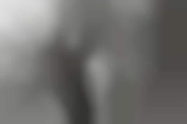 Wistful Women Photography (UPDATE)