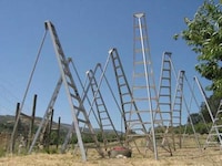 Agrarian Art Installations Image 2