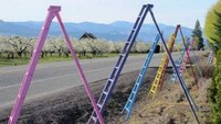 Agrarian Art Installations Image 8