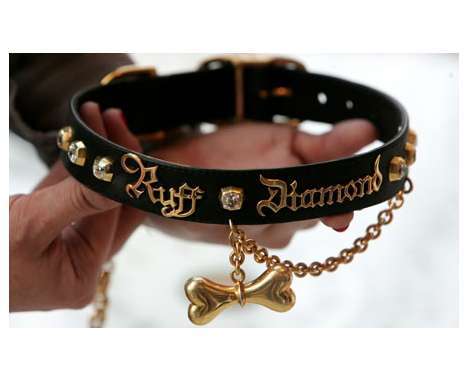 15 Crazy Canine Collars