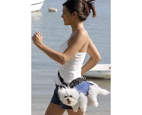 12 Luscious Leashes