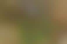 Car-Imprinted Kitchen Products