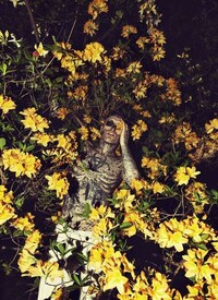 Floral Zombie Editorials Image 3