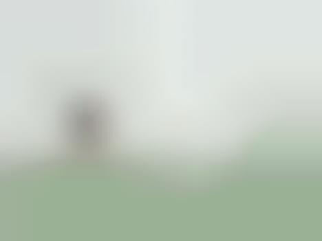 Daring Submerged Photography