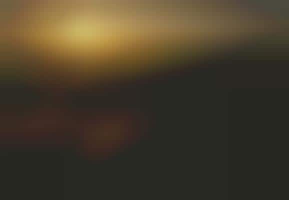 Natural Wonder Photography