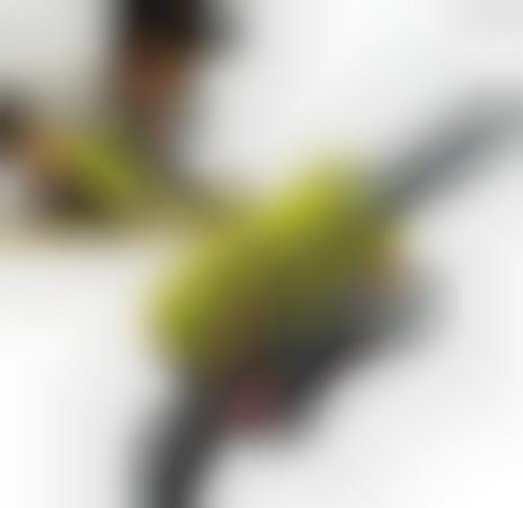 13 Pest-Repelling Inventions