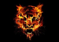 Fire-Breathing Apparel Image 2