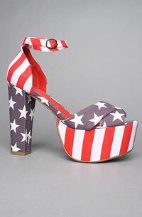 Patriotic Platforms Image 2