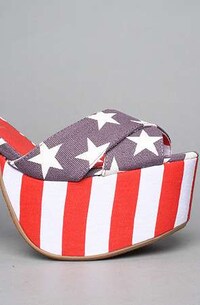 Patriotic Platforms Image 3